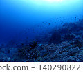 Coral reefs of the Ogasawara Islands, teeming with various types of coral. 140290822