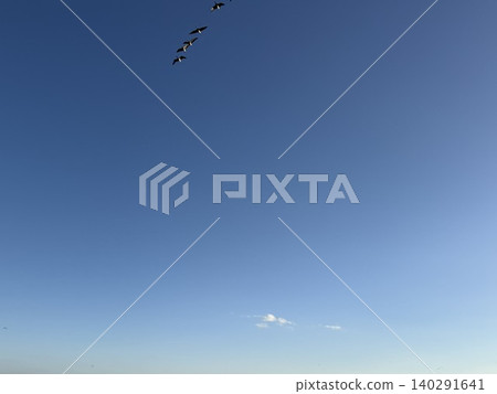 Flock of birds flying in the blue sky Flock of birds flying in the blue sky 140291641