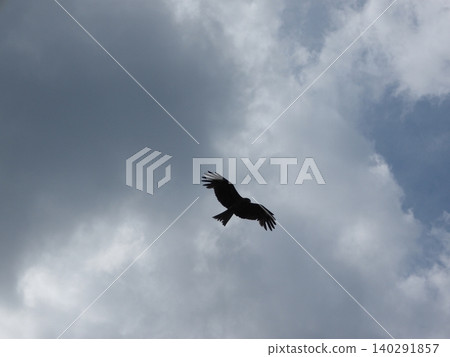 一隻風箏在陰雲密佈的天空中盤旋。 一隻風箏在陰雲密佈的天空中盤旋。 140291857