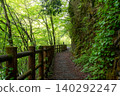 A forest road after the rain, enveloped in fresh greenery. 140292247