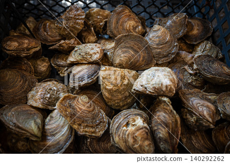 Fresh oysters at Cancale oysters farm market Fresh oysters at Cancale oysters farm market 140292262