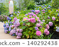 A flowerbed of vibrant hydrangeas in full bloom. 140292438