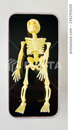 Small plastic skeleton model displayed on a black surface, showcasing detailed anatomical features, ideal for educational purposes and anatomical studies Small plastic skeleton model displayed on a black surface, showcasing detailed anatomical features, ideal for educational purposes and anatomical studies 140293020