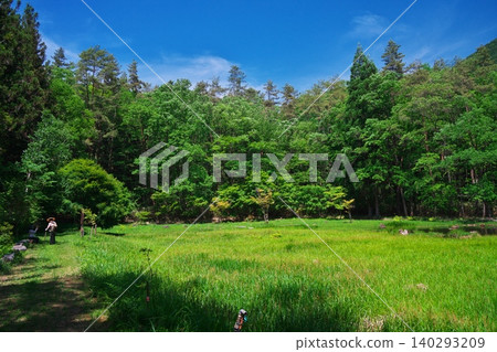 岩流峽的仲崎台濕地,綠意盎然。 岩流峽的仲崎台濕地,綠意盎然。 140293209