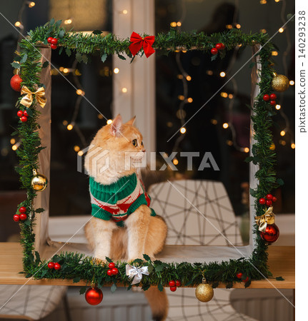 Golden Cat Looking Aside in Christmas Garland Frame 140293238