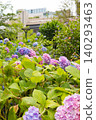 A city oasis: skyscrapers and hydrangeas that adorn the early summer landscape. 140293463