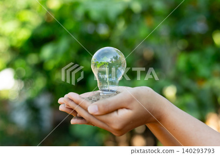 Hands Holding Seedling in a Lightbulb Base Growth, Sustainability, and Green Energy for the Future. concept growth, eco-consciousness, and hopeful progress toward sustainable ideas and communitie Hands Holding Seedling in a Lightbulb Base Growth, Sustainability, and Green Energy for the Future. concept growth, eco-consciousness, and hopeful progress toward sustainable ideas and communitie 140293793
