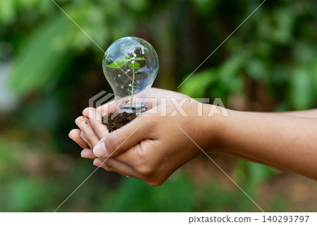 Hands Holding Seedling in a Lightbulb Base Growth, Sustainability, and Green Energy for the Future. concept growth, eco-consciousness, and hopeful progress toward sustainable ideas and communitie Hands Holding Seedling in a Lightbulb Base Growth, Sustainability, and Green Energy for the Future. concept growth, eco-consciousness, and hopeful progress toward sustainable ideas and communitie 140293797