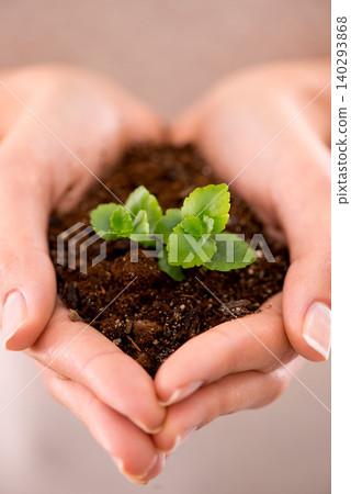 Hands, plant and soil with nature, future and hope for growth and sustainability. Person, environment and leaf for support, accountability and earth day development or green energy with startup Hands, plant and soil with nature, future and hope for growth and sustainability. Person, environment and leaf for support, accountability and earth day development or green energy with startup 140293868