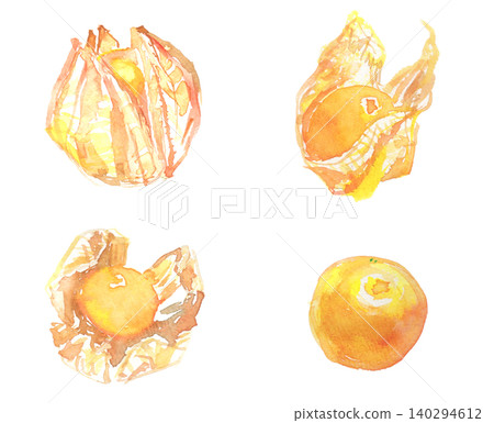 一組水彩插圖,描繪的是可食用的燈籠果。 一組水彩插圖,描繪的是可食用的燈籠果。 140294612