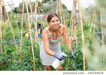Young woman gardener sprays insecticide leaves of tomatoes and other plants in garden Young woman gardener sprays insecticide leaves of tomatoes and other plants in garden 140294626