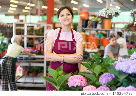 Middle-aged saleswoman standing next to the counter of hydrangea flowers in open-air plants market 140294752