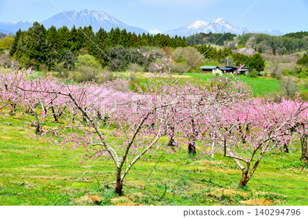 從須須（長野縣飯綱町）眺望黑姬山和妙高山 [2026年4月] 140294796