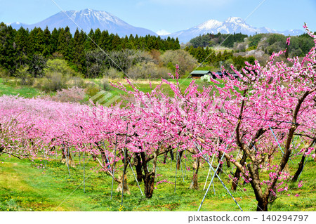 從須須（長野縣飯綱町）眺望黑姬山和妙高山 [2026年4月] 140294797