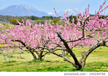 從須須（長野縣飯綱町）眺望黑姬山和妙高山 [2026年4月] 140294798