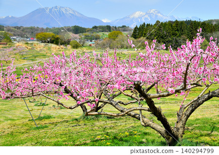 View of Mt. Kurohime and Mt. Myoko from Tankakyo (Iizuna Town, Nagano Prefecture) [April 2026] 140294799
