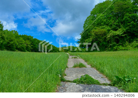 A straight road stretching under a blue sky and a green meadow – a refreshing early summer landscape image. A straight road stretching under a blue sky and a green meadow – a refreshing early summer landscape image. 140294806