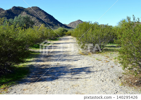 Arizona Desert Arroyo Arizona Desert Arroyo 140295426