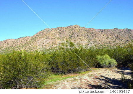 Arizona Desert Arroyo Arizona Desert Arroyo 140295427