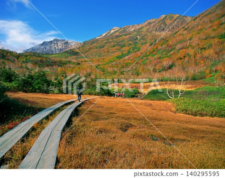 Tsugaike Nature Park, Japanese Alps Tsugaike Nature Park, Japanese Alps 140295595