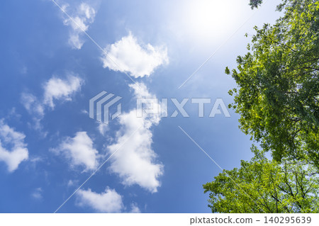 藍天和雲彩和樹 藍天和雲彩和樹 140295639
