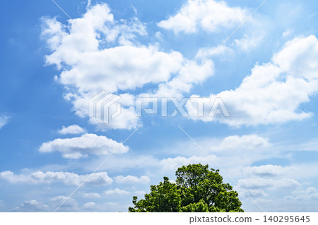 Blue sky and clouds and trees Blue sky and clouds and trees 140295645