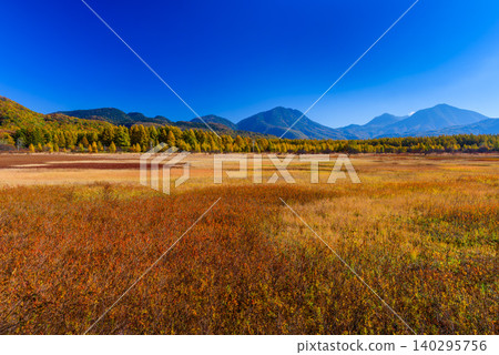 On a clear autumn morning, a vibrant carpet of autumn-colored grasses and mountains stretched across Odashirogahara in Oku-Nikko, where the autumn leaves were at their peak, offering a panoramic view of the uninhabited landscape. On a clear autumn morning, a vibrant carpet of autumn-colored grasses and mountains stretched across Odashirogahara in Oku-Nikko, where the autumn leaves were at their peak, offering a panoramic view of the uninhabited landscape. 140295756