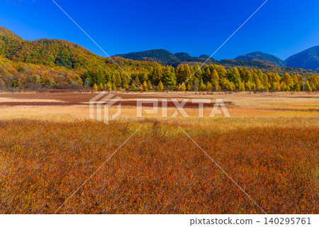 On a clear autumn morning, a vibrant carpet of autumn-colored grasses and mountains stretched across Odashirogahara in Oku-Nikko, where the autumn leaves were at their peak, offering a panoramic view of the uninhabited landscape. On a clear autumn morning, a vibrant carpet of autumn-colored grasses and mountains stretched across Odashirogahara in Oku-Nikko, where the autumn leaves were at their peak, offering a panoramic view of the uninhabited landscape. 140295761