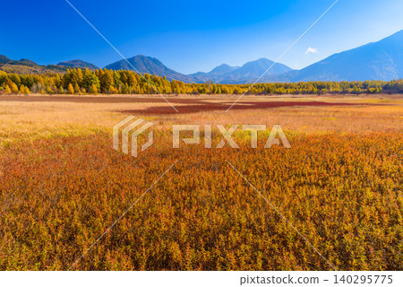 On a clear autumn morning, a vibrant carpet of autumn-colored grasses and mountains stretched across Odashirogahara in Oku-Nikko, where the autumn leaves were at their peak, offering a panoramic view of the uninhabited landscape. 140295775