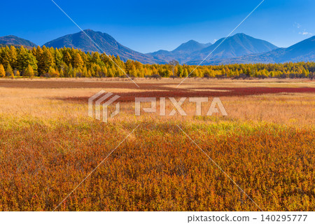 On a clear autumn morning, a vibrant carpet of autumn-colored grasses and mountains stretched across Odashirogahara in Oku-Nikko, where the autumn leaves were at their peak, offering a panoramic view of the uninhabited landscape. On a clear autumn morning, a vibrant carpet of autumn-colored grasses and mountains stretched across Odashirogahara in Oku-Nikko, where the autumn leaves were at their peak, offering a panoramic view of the uninhabited landscape. 140295777