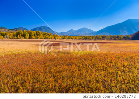 在一個晴朗的秋日清晨，奧日光小田代原的群山，以及秋葉正值鼎盛的秋日草地，鋪展在你眼前，呈現出一幅無人居住的壯麗景色。 140295778