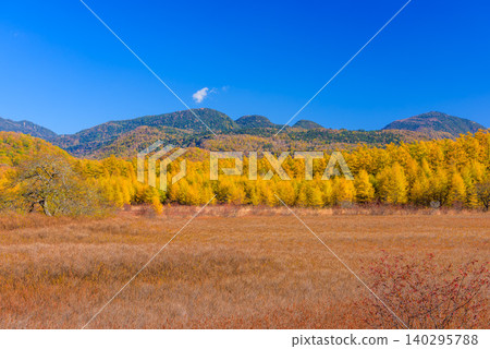 On a clear autumn morning, a vibrant carpet of autumn-colored grasses and mountains stretched across Odashirogahara in Oku-Nikko, where the autumn leaves were at their peak, offering a panoramic view of the uninhabited landscape. On a clear autumn morning, a vibrant carpet of autumn-colored grasses and mountains stretched across Odashirogahara in Oku-Nikko, where the autumn leaves were at their peak, offering a panoramic view of the uninhabited landscape. 140295788