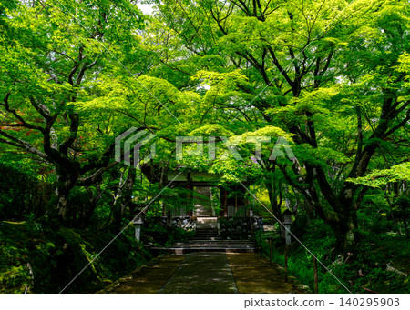 Jojakkoji Temple, enveloped in fresh greenery. Jojakkoji Temple, enveloped in fresh greenery. 140295903