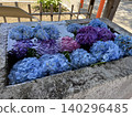 Hydrangea floating in the waterhouse 140296485