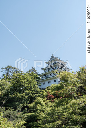 郡上八幡城 郡上八幡城 140296604