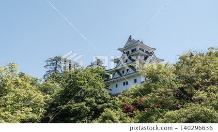 郡上八幡城 郡上八幡城 140296636