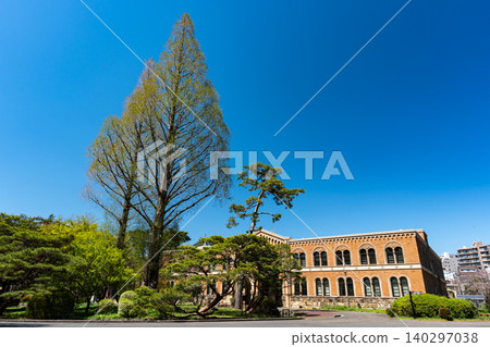 東京國立一橋大學東樓和一棵巨樹 東京國立一橋大學東樓和一棵巨樹 140297038