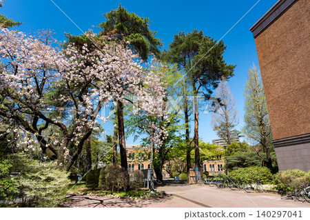 東京都國立市一橋大學學生合作公寓(東廣場)週邊 東京都國立市一橋大學學生合作公寓(東廣場)週邊 140297041