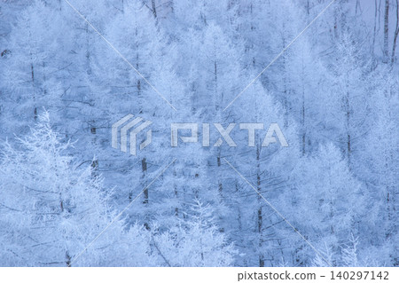 信州金星線沿線的落葉松林被霜雪覆蓋。 信州金星線沿線的落葉松林被霜雪覆蓋。 140297142