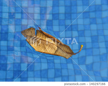 Single dried brown autumn leaf floating on the surface of clear blue swimming pool water Single dried brown autumn leaf floating on the surface of clear blue swimming pool water 140297166