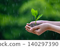 environment Earth Day In the hands of trees growing seedlings. Bokeh green Background Female hand holding tree on nature field grass Forest conservation concept 140297390