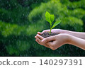 environment Earth Day In the hands of trees growing seedlings. Bokeh green Background Female hand holding tree on nature field grass Forest conservation concept 140297391