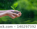 environment Earth Day In the hands of trees growing seedlings. Bokeh green Background Female hand holding tree on nature field grass Forest conservation concept 140297392