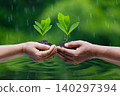 environment Earth Day In the hands of trees growing seedlings. Bokeh green Background Female hand holding tree on nature field grass Forest conservation concept 140297394