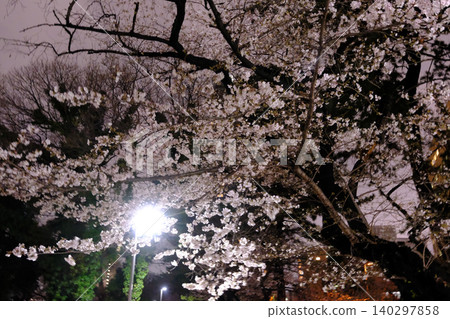 東京皇宮和夜晚的櫻花 140297858