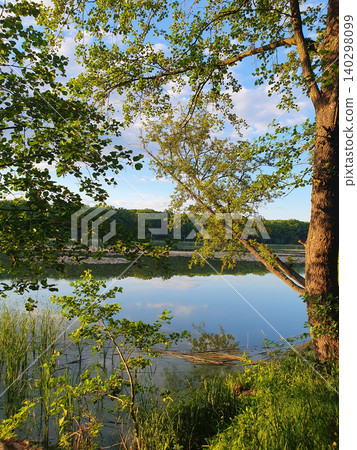 Picturesque summer landscape with calm lake surrounded by green trees and reeds. Beautiful reflection of sky in water 140298099