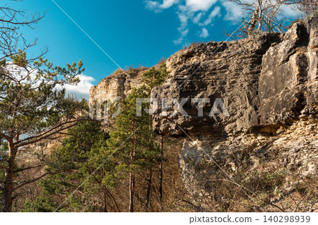 Limestone Cliff And Pine Trees Under Blue Sky Limestone Cliff And Pine Trees Under Blue Sky 140298939