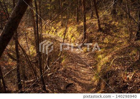 Sunlit Hiking Trail Through Woodland Sunlit Hiking Trail Through Woodland 140298940