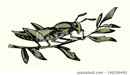 Vector drawing. Big garden locust Vector drawing. Big garden locust 140299440