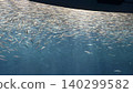 A large school of sardines (Nagoya Port Aquarium) 140299582